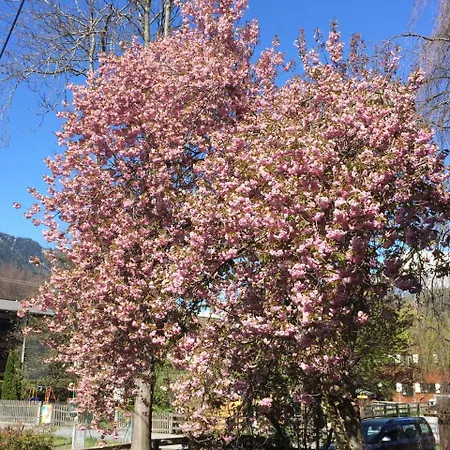 Mini-hôtel Zum Stern